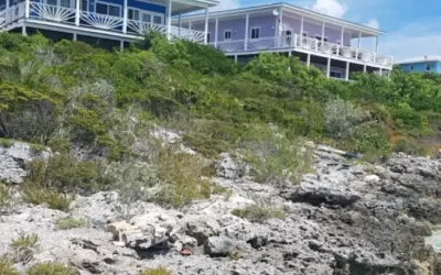 Harbour Bay Cottage